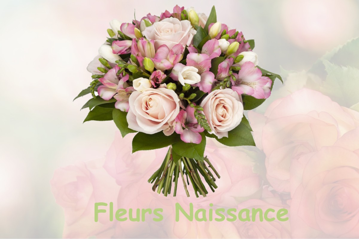 fleurs naissance SULLY-SUR-LOIRE