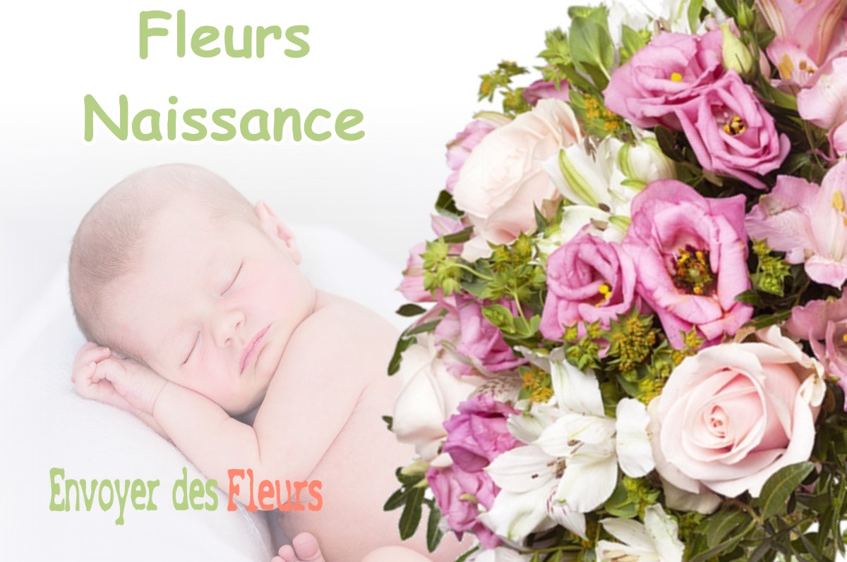 lIVRAISON FLEURS NAISSANCE à SULLY-SUR-LOIRE