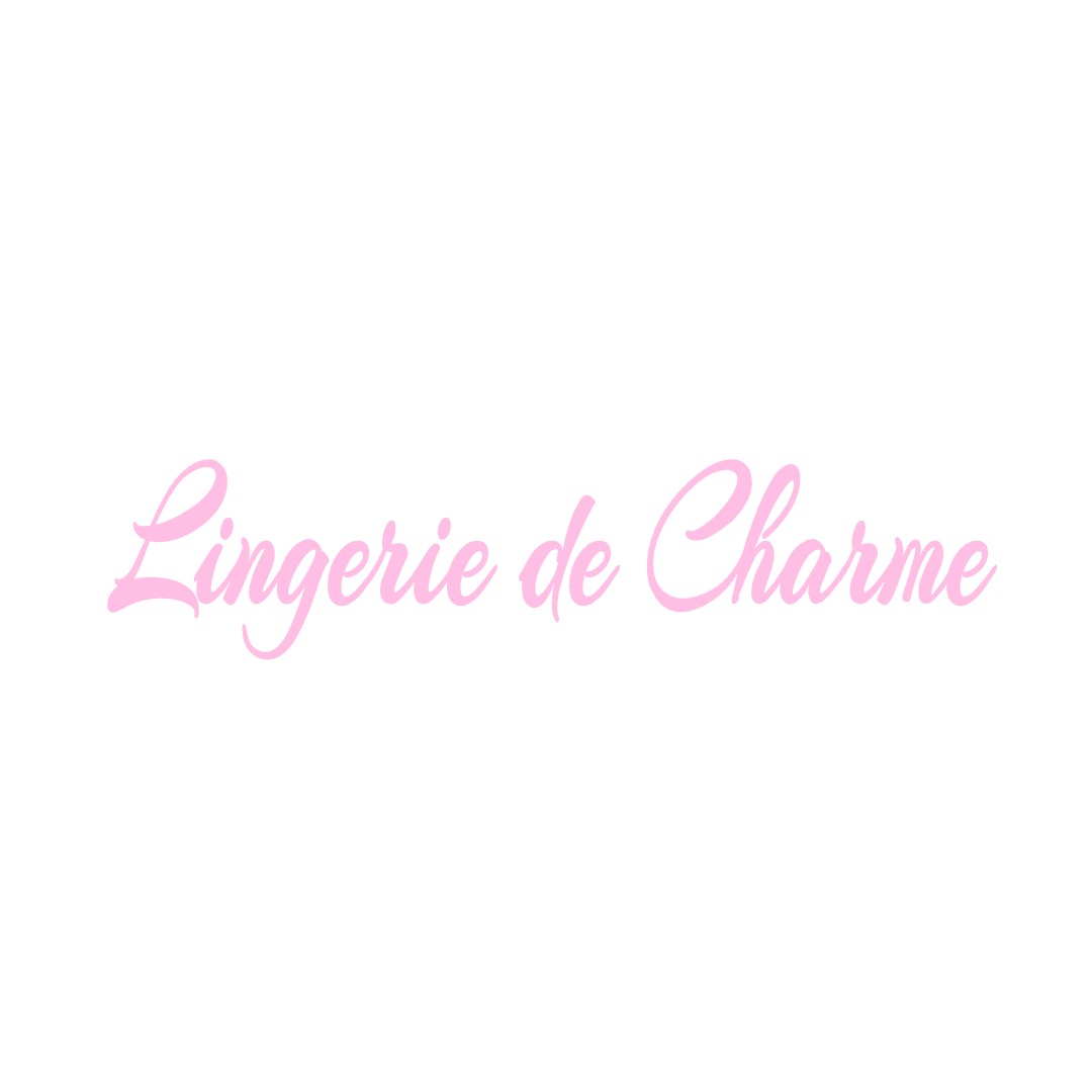 LINGERIE DE CHARME SULLY-SUR-LOIRE